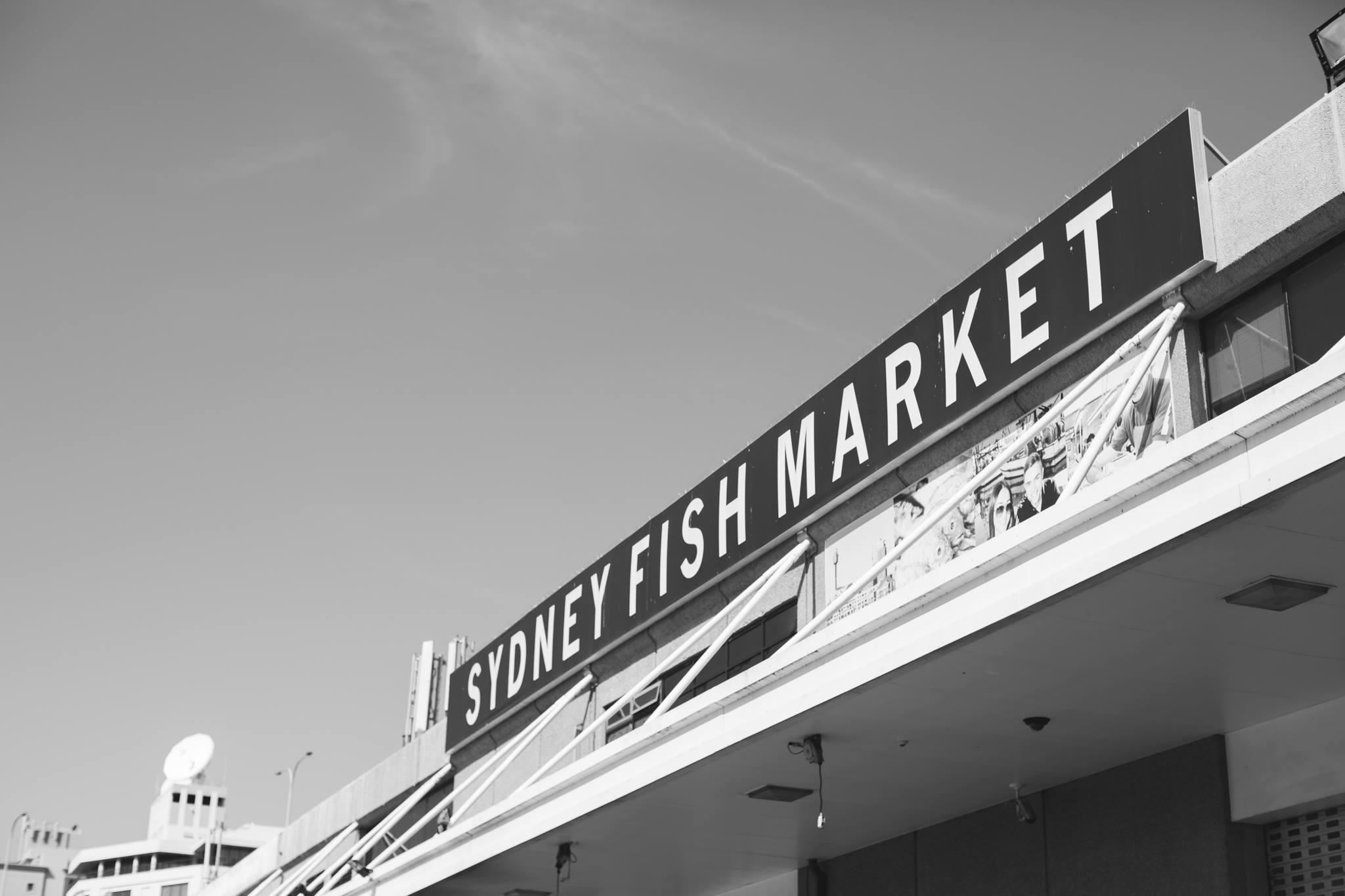 Sydney Fish Market